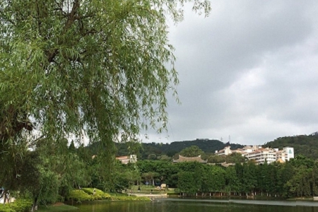 �Ԛ⪚һ�o���Ĺ�˾����