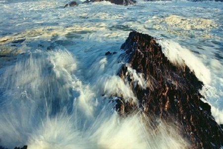 �W�j��˾����������ȫ