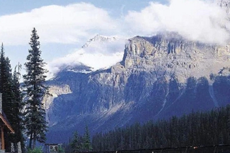 �ߴ������� �Ĺ�˾��