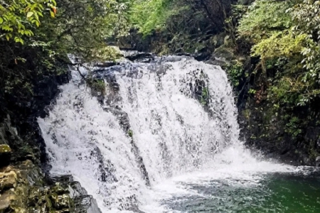 ���Є��⹫˾���ִ�ȫ