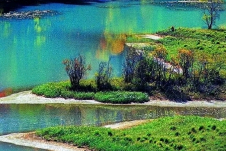 2024�깫˾ȡ���ִ�ȫ����