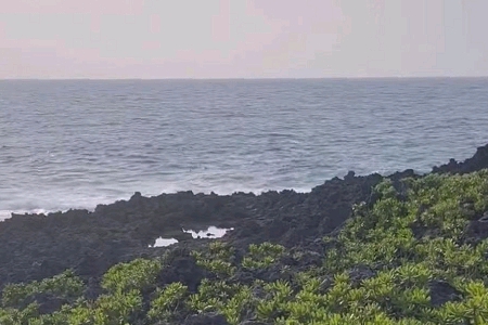 �����������Ĺ�˾���Q���x