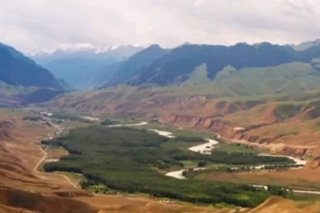 Ԣ��ù�˾ȡ���օ�����ȫ