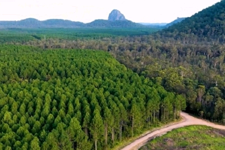 �����˂�(g��)�ԵĹ�˾����