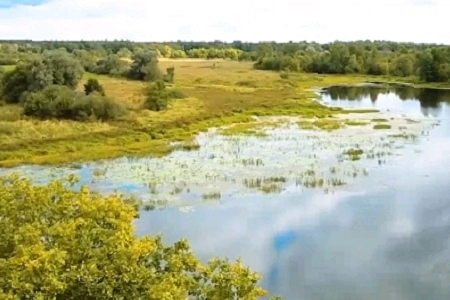 100���� �����Ĺ�˾����