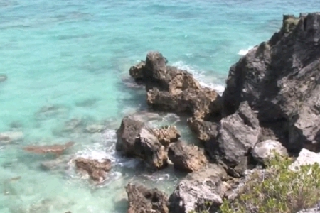 300��(g��)��(d��)������Ĺ�˾���Q