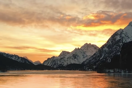  ��ȥ���������Ĺ�˾����