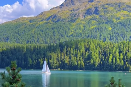 �� �Ĺ�˾���ִ�ȫ2023