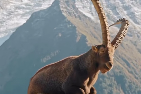 300��(g��)���T�������Ĺ�˾���Q