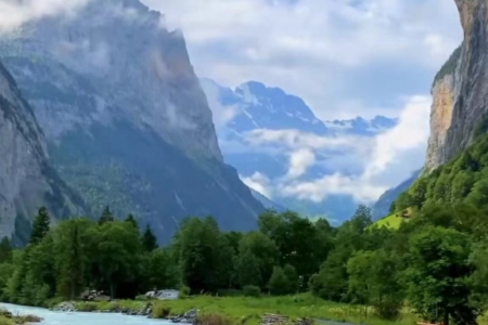 �����Ŀ�Ĺ�˾���Q