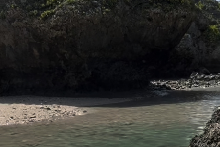 ����Є���Ĺ�˾���ִ�ȫ