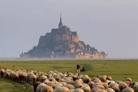 �r���³��Ĺ�˾���Q��ȫ