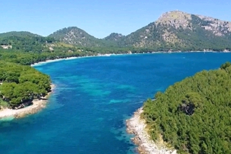 ���؄��⹫˾���Q��ȫ