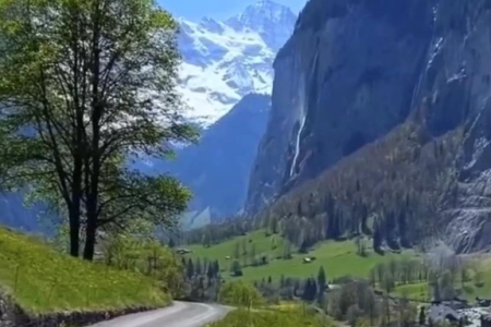 �� (t��ng)�Ĺ�˾���Q��ȫ��(ji��n)�δ��