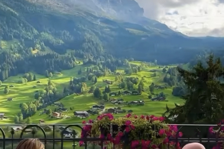 �V���OӋ�Є��������