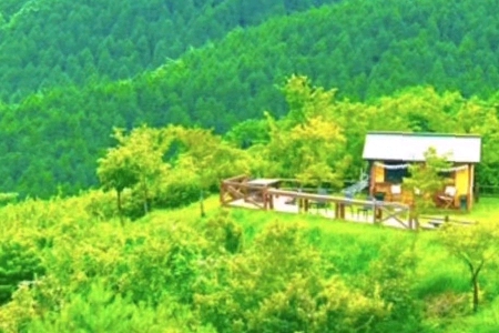 ���������Ĺ�˾���Q����