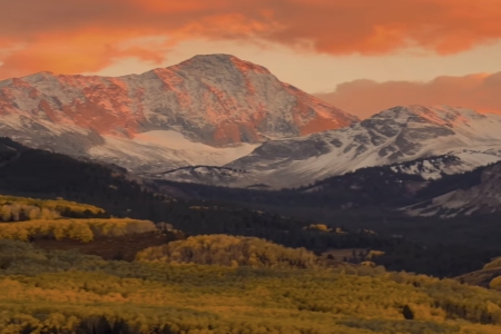 300�������Ĺ�˾���Q��ȫ