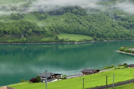 2024�깫˾�������ִ�ȫ