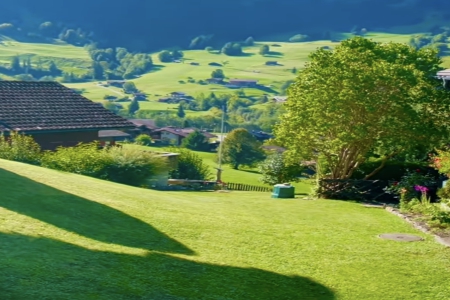 2000����˾����ؔ������