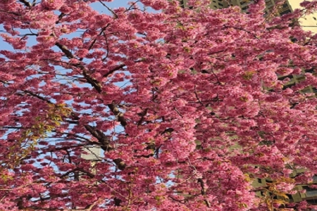 ȡ��˾��ע��һЩʲô