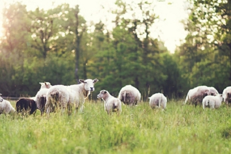 ��������ȡ��˾���ִ�ȫ