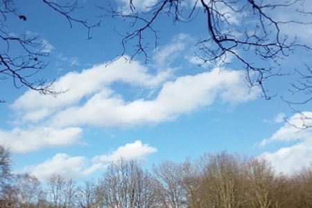 ��(li��n)�W(w��ng)ܛ����˾������ȫ