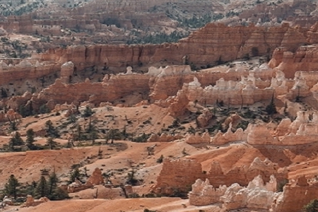 �� ���ŵĹ�˾��I���Q