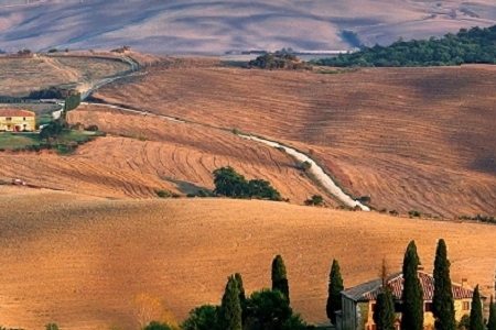 ���������������ִ�ȫ