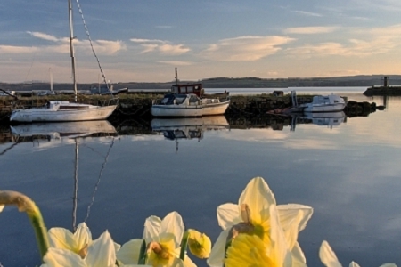 �� �Ļ��W��˾���Q