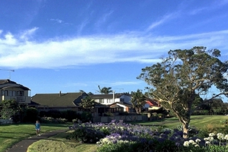 ��˾�����ǳ��ĺ� 