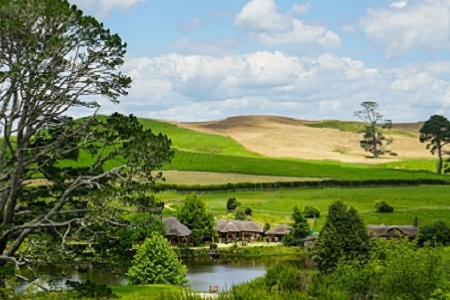 2022�������˾���ִ�ȫ