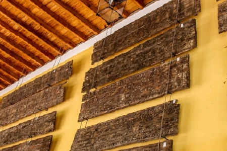 �_��������t�t���ĵ������