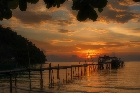 Ԣ��ø��ŵĹ�˾���ִ�ȫ