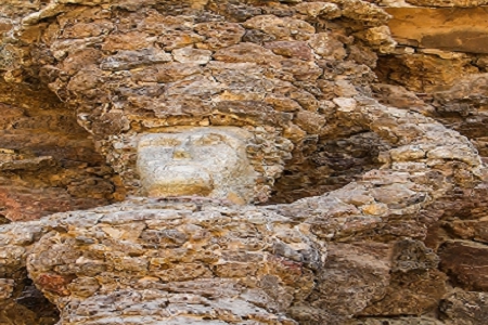 2022�깫˾����������ȫ