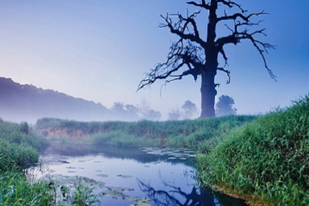 �\�Ş����}�Ĺ�˾����