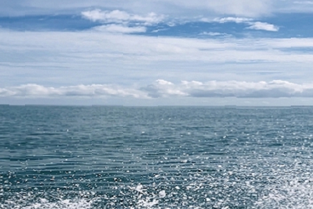 �·f���p�������δ����Α�˾���Q��ȫ