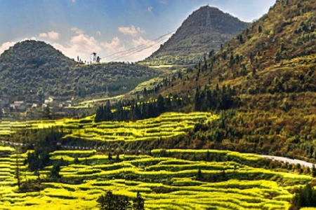 100���� ���¹�˾ȡ���ִ�ȫ����