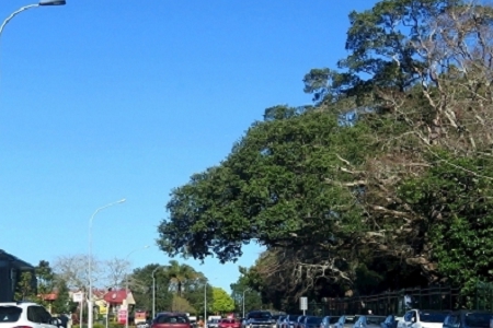 �������⹫˾���ִ�ȫ