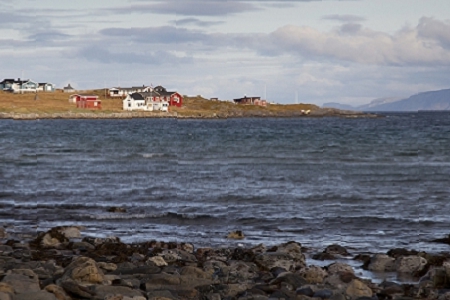 ��˾����ôȡ���