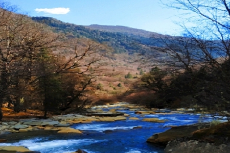 Ԣ��õďV�湫˾����