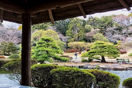 ����������������ȫ