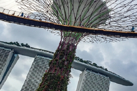 �^Ŀ������С���^������