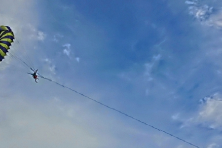 2023��혿ڵĹ�˾���ִ�ȫ