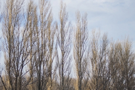 �� ����Ĺ�˾���ִ�ȫ