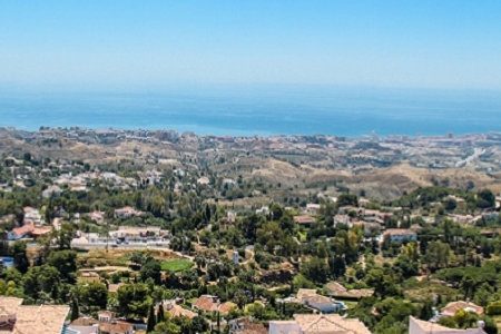 ����Ľ�����˾����