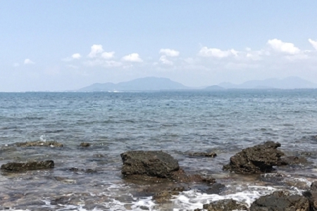 �� �ı���Ʒ��˾������ȫ