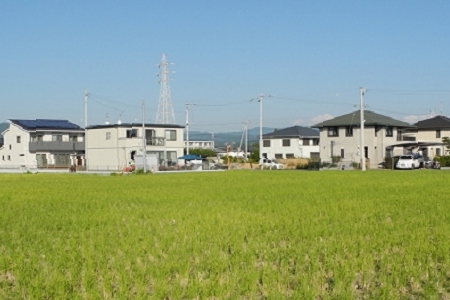 ϴ�µ����ִ�ȫ�߶˴��