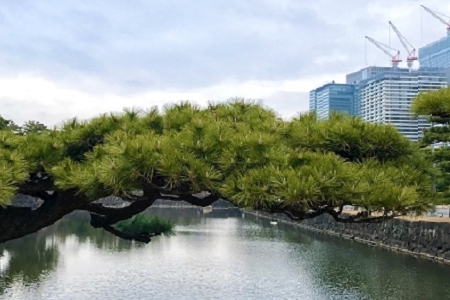 100�����﹫˾ȡ����ȫ