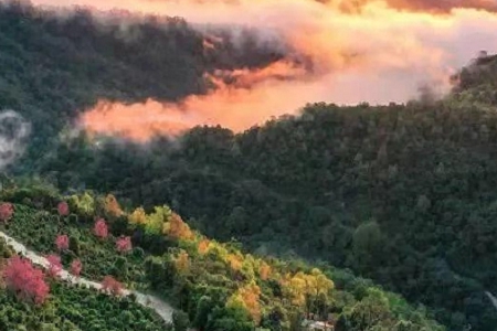 �����_(k��i)��˾��ôȡ��˾��