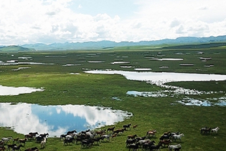 ˎ�����ִ�ȫ�� (t��ng)����